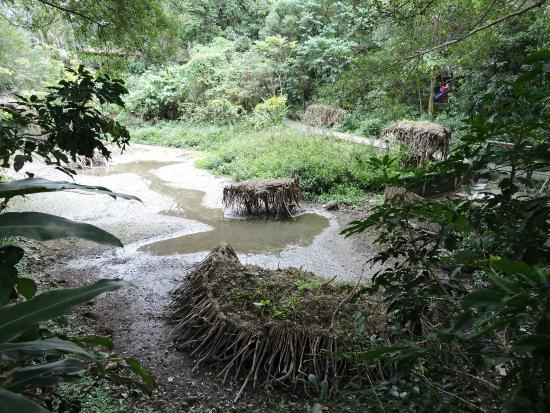 Zhishan Cultural and Ecological Garden